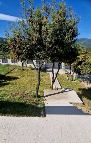 Jardín
